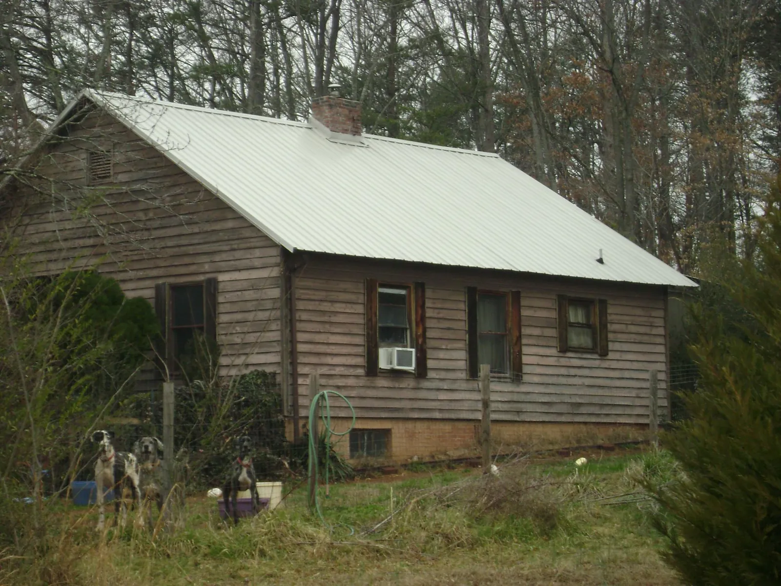 White metal roof on an old wood sided farmhouse, from a Metal Roof Installation job in Parker